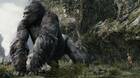 El director de la película Kong: La Isla Calavera se inspiró en Shadow of the Colossus