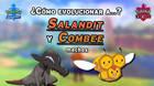 Truco para evolucionar a Salandit y Combee machos en Pokémon Espada y Escudo