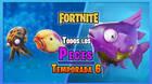 TODOS los Peces de Fortnite Temporada 6: Localizaci�n y c�mo pescarlos