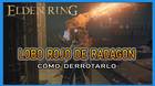 Lobo rojo de Radagon en Elden Ring: C�mo derrotarlo y recompensas