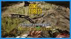 Sons of the Forest: ¿Cómo conseguir el arco compuesto? (Localización)