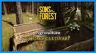 Agricultura en Sons of the Forest: Cómo cultivar semillas y bayas