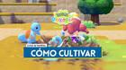 Pokémon Pokopia: Cómo cultivar verduras y plantar semillas
