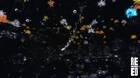 Rememoried ha sido aprobado en Steam Greenlight