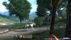 Nuevas imágenes de The Elder Scrolls IV: Oblivion