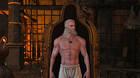 Las arpilleras son las nuevas rayas en The Witcher 3: Wild Hunt - Blood & Wine (DLC)