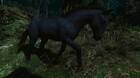 Fantasmas equinos en The Witcher 3: Wild Hunt - Blood & Wine (DLC)