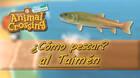 Cómo pescar al Taimén en Animal Crossing: New Horizons