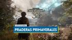Praderas primaverales al 100% en Clair Obscur: Expedition 33