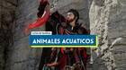 Todos los animales acu�ticos en Crimson Desert y localizaci�n