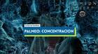 C�mo desbloquear Palmeo: Concentraci�n en Crimson Desert