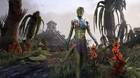 The Elder Scrolls Online estrena nuevas monturas, trajes, mascotas y más