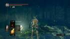 Jardín Tenebroso en Dark Souls Remastered al 100%