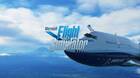 Imágenes Microsoft Flight Simulator