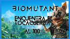 Biomutant: Encuentra el tocacuerdas - C�mo completarla