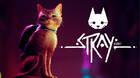 Stray se lanza este verano en PS5, PS4 y PC