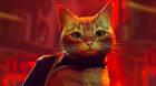 Stray en Xbox One y Xbox Series