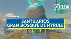 Santuarios del Gran bosque de Hyrule en Zelda: Tears of the Kingdom