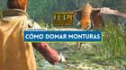 Monturas en Star Wars Jedi Survivor: Tipos, cómo domarlas y localización