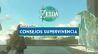 Los mejores consejos de supervivencia en Zelda: Tears of the Kingdom