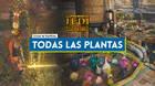 TODAS las plantas del jardín en Star Wars Jedi Survivor - Localización