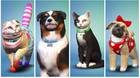 Los Sims 4 presenta su expansión 'Perros y Gatos' con tráiler e imágenes