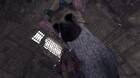 The Last Guardian tendrá experiencia para PS VR