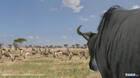 Nuevas imágenes de Afrika