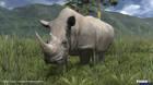 TGS: Nuevas imágenes de Afrika
