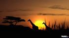 Imágenes de Afrika para PlayStation 3
