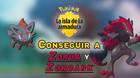 Cómo conseguir a Zorua y Zoroark en Pokémon: Isla de la Armadura