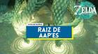 Cmo llegar a la Raz de Aap'es en Zelda: Tears of the Kingom