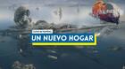 Un nuevo hogar al 100% en Final Fantasy XVI