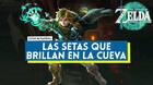 Las setas que brillan en la cueva en Zelda: Tears of the Kingdom