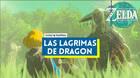 Las lágimas de dragón al 100% en Zelda: Tears of the Kingdom