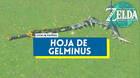 Cmo conseguir la Hoja de Gelminus en Zelda: Tears of the Kingdom