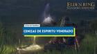 Todas las Cenizas de esp�ritu venerado en Elden Ring: Shadow of the Erdtree