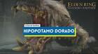 Hipopótamo dorado y cómo derrotarle en Elden Ring: Shadow of the Erdtree