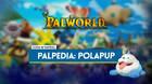 Polapup en Palworld: Localización, cómo conseguirlo, habilidades, objetos y detalles