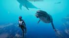 Beyond Blue se lanza a principios de junio