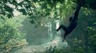 Ancestors: The Humankind Odyssey llegará a PS4 y Xbox One con más tutoriales