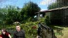 Crysis Remastered confirma sus especificaciones técnicas en Switch.