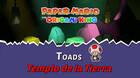 TODOS los Toads en Templo de la Tierra de Paper Mario The Origami King