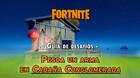 Desaf�o Fortnite: Pilla un arma en caba�a conglomerada - LOCALIZACI�N
