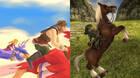 Zelda: Skyward Sword HD desarrollador