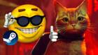 Stray es el juego de 2022 mejor valorado de Steam.