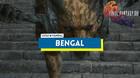Bengal: ataques y cómo derrotarlo en Final Fantasy XVI