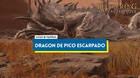 Dragón de pico escarpado y cómo derrotarle en Elden Ring: Shadow of the Erdtree