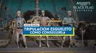 AC Black Flag Resynced: C�mo consguir la tripulaci�n esqueleto