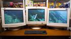 Microsoft Flight Simulator Monitores CRT